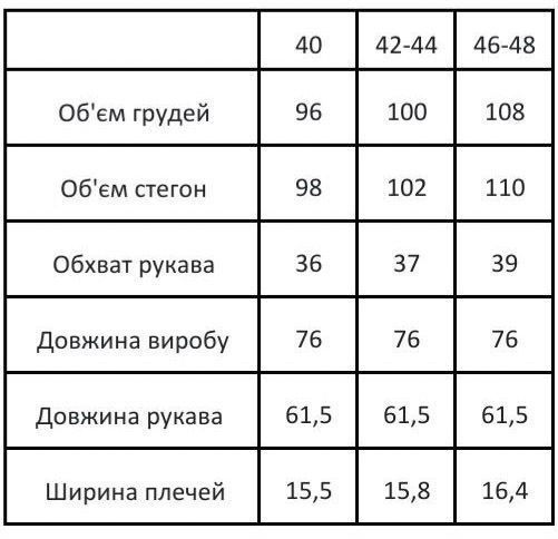 Пальто-піджак в смужку чорне LPTKч фото